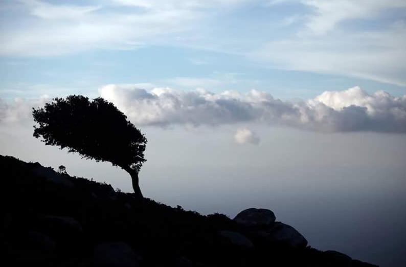 Ikaria Studios Manganitis Bagian luar foto