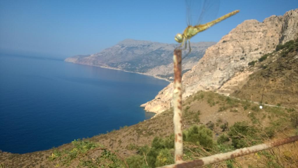 Ikaria Studios Manganitis Bagian luar foto